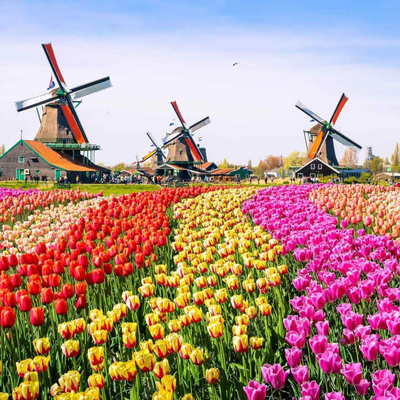 https://extrektravel.com/wp-content/uploads/2018/09/destination-netherlands-01-1280x1280.jpg