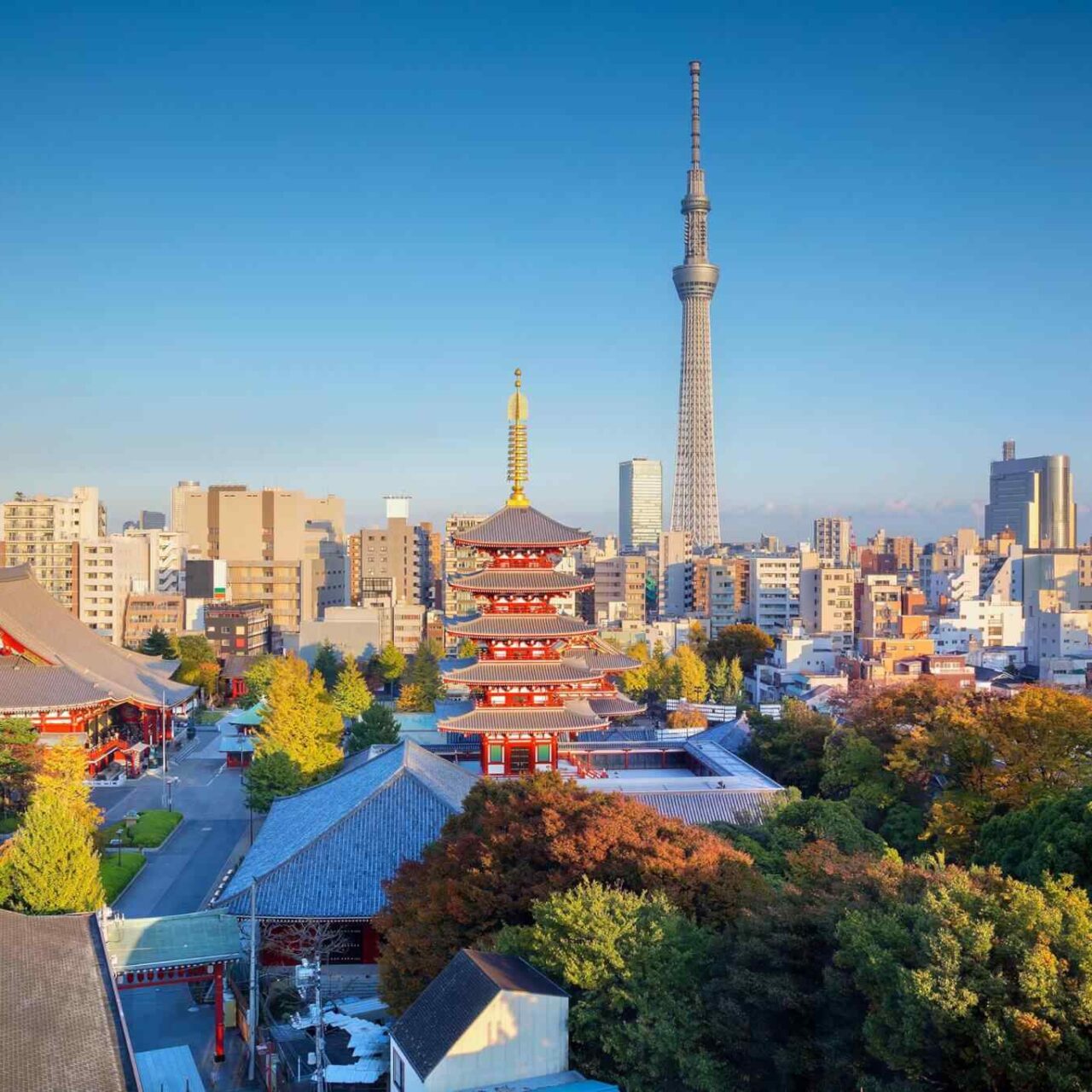 https://extrektravel.com/wp-content/uploads/2018/09/destination-tokyo-04-1280x1280.jpg