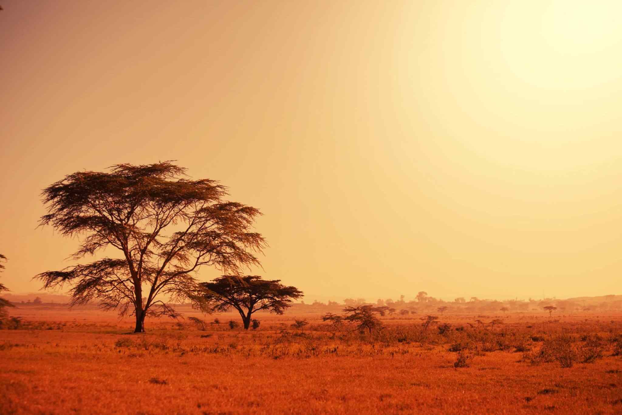 https://extrektravel.com/wp-content/uploads/2018/09/tour-africa-02.jpg