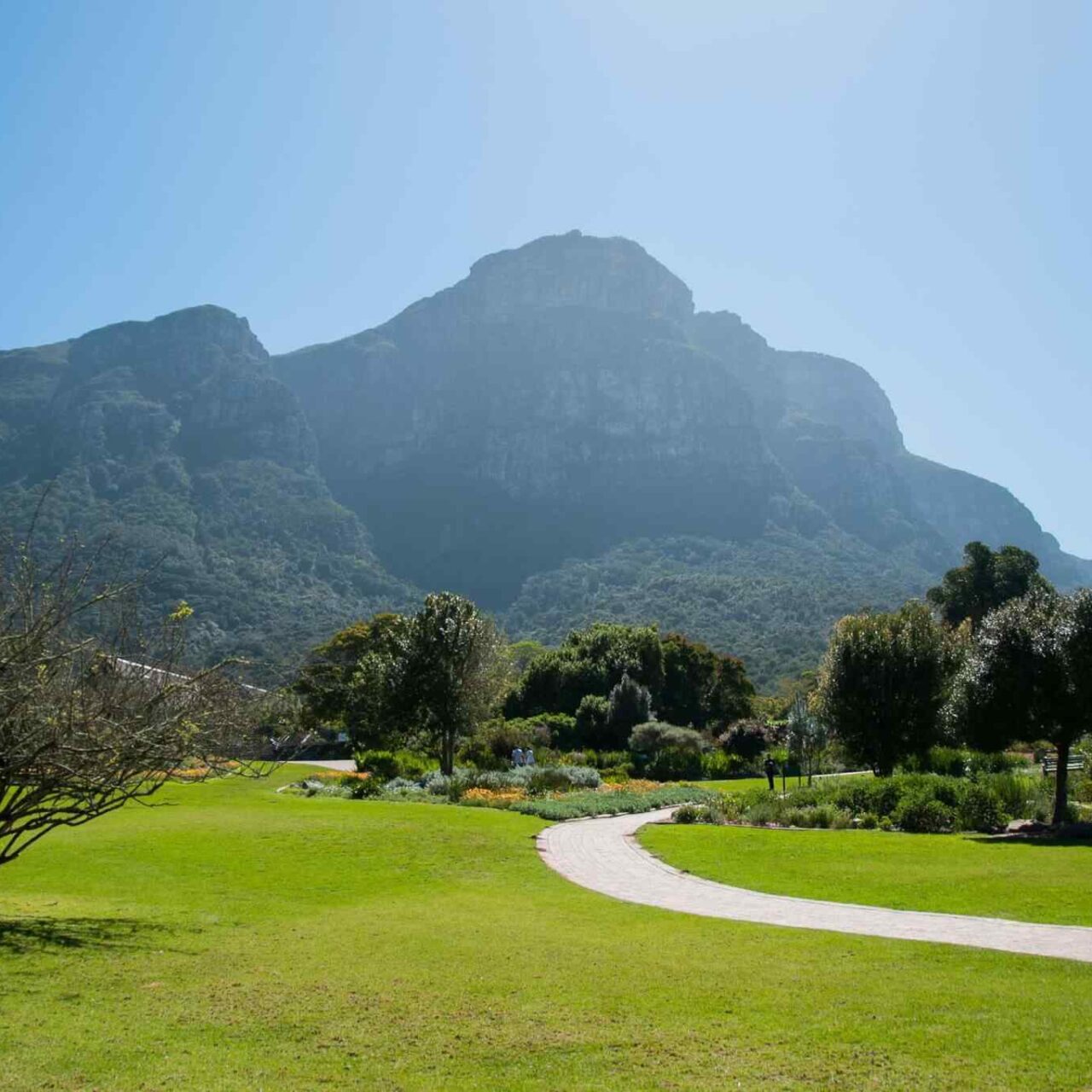 https://extrektravel.com/wp-content/uploads/2018/09/tour-capetown-03-1280x1280.jpg