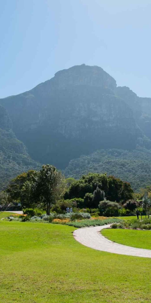 https://extrektravel.com/wp-content/uploads/2018/09/tour-capetown-03-640x1280.jpg